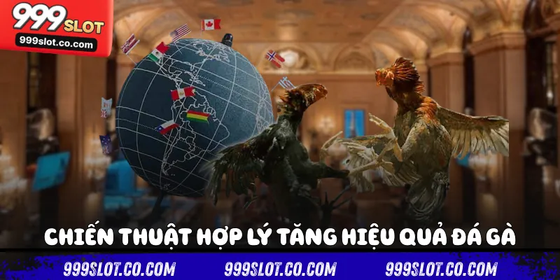 Chiến thuật hợp lý tăng hiệu quả Đá gà